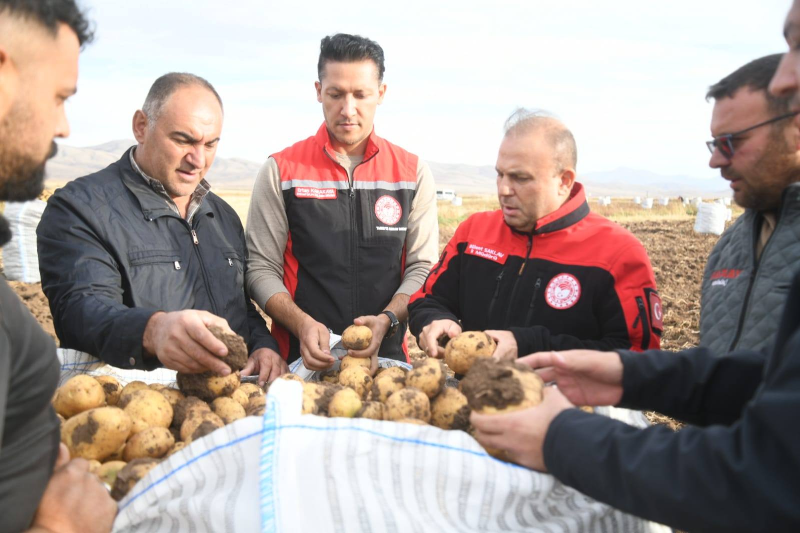 572262240 1933345410817767 6267007001927428953 N