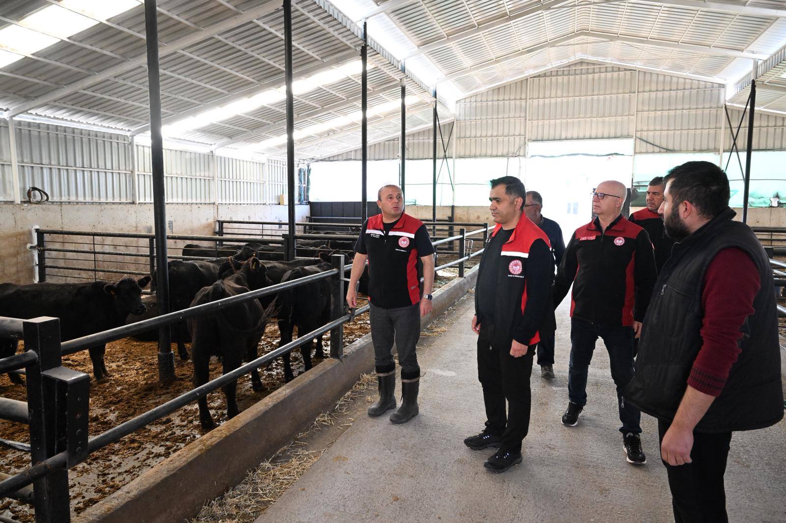 576669873 1938596280292680 5750976811760138171 N