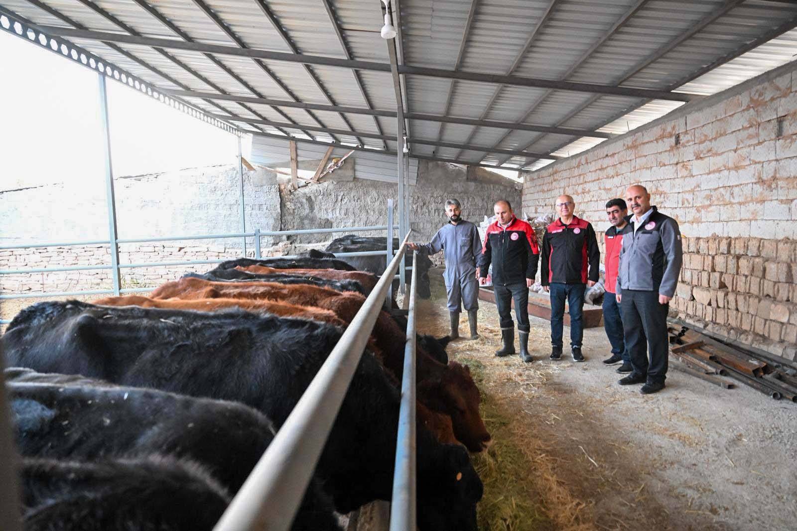 576852349 1941500286668946 5759859125151843083 N