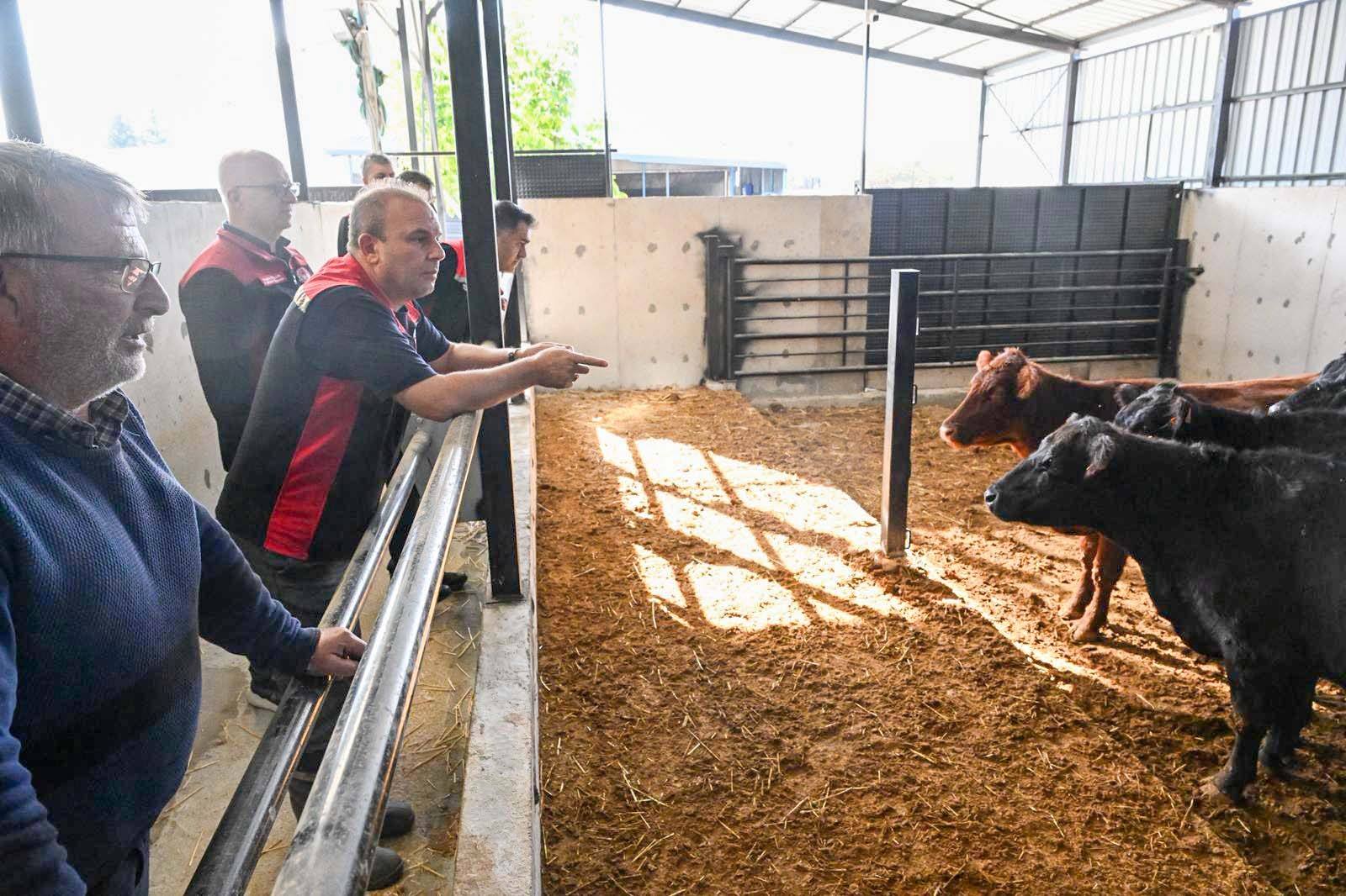 577020683 1938596183626023 3786704635748829508 N