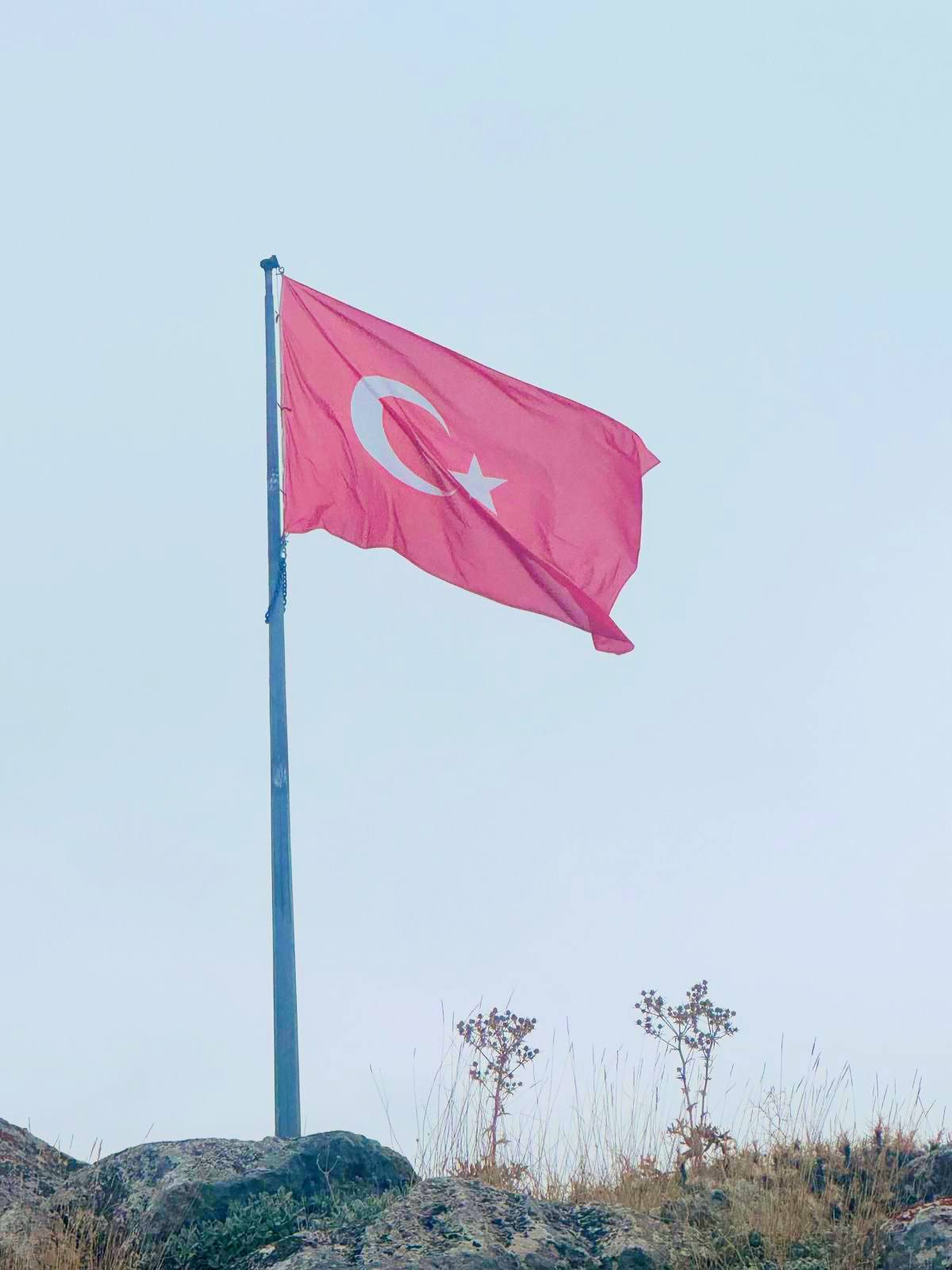 577035211 1491773398580284 7356208453648145991 N