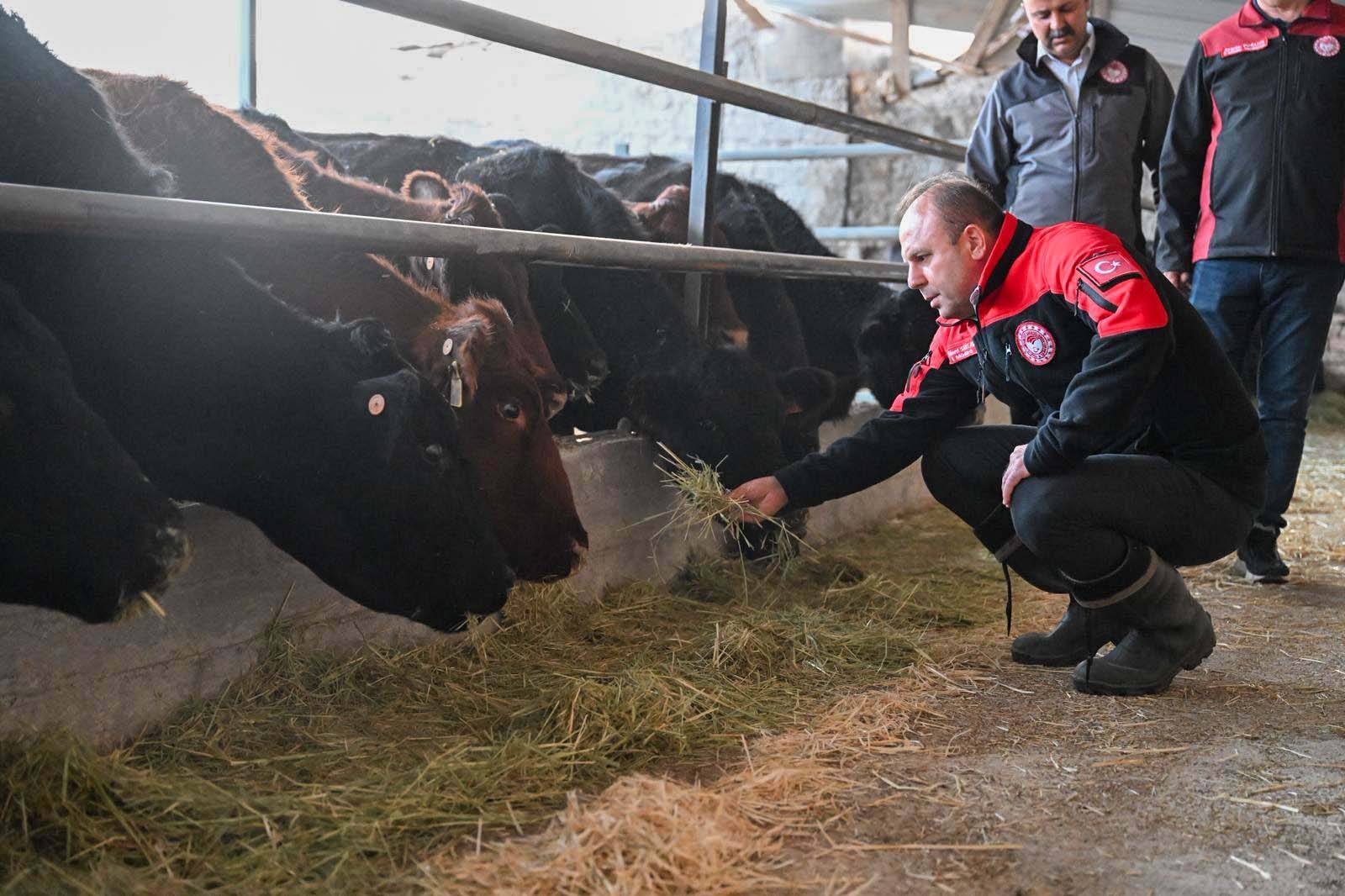 577897009 1941500080002300 5465274508548830234 N