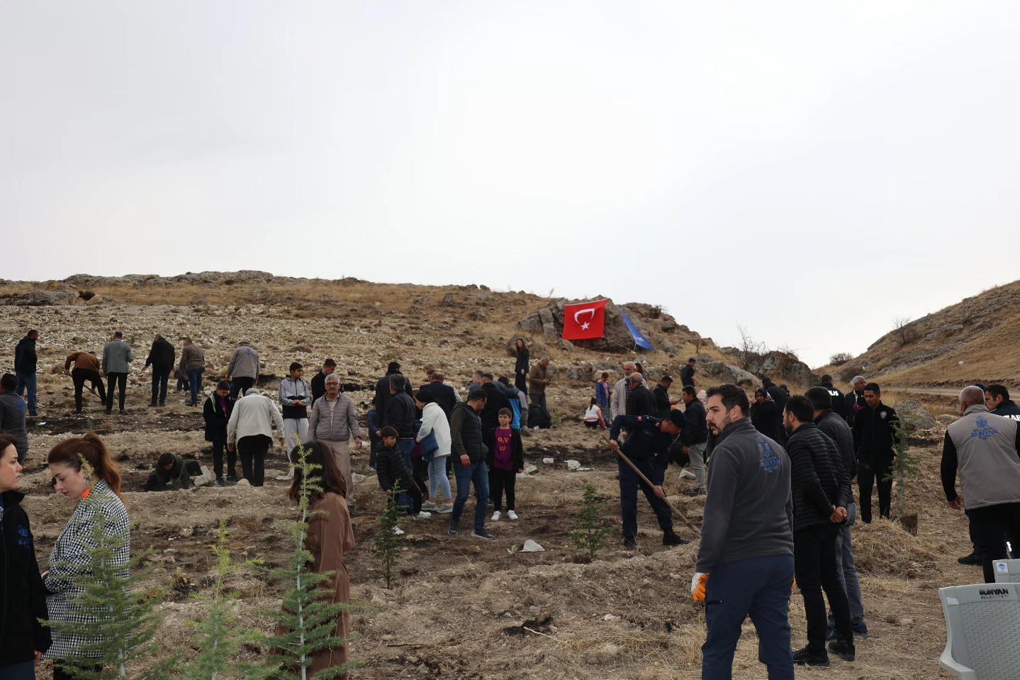 580751698 122257327988188374 8238772321814819997 N