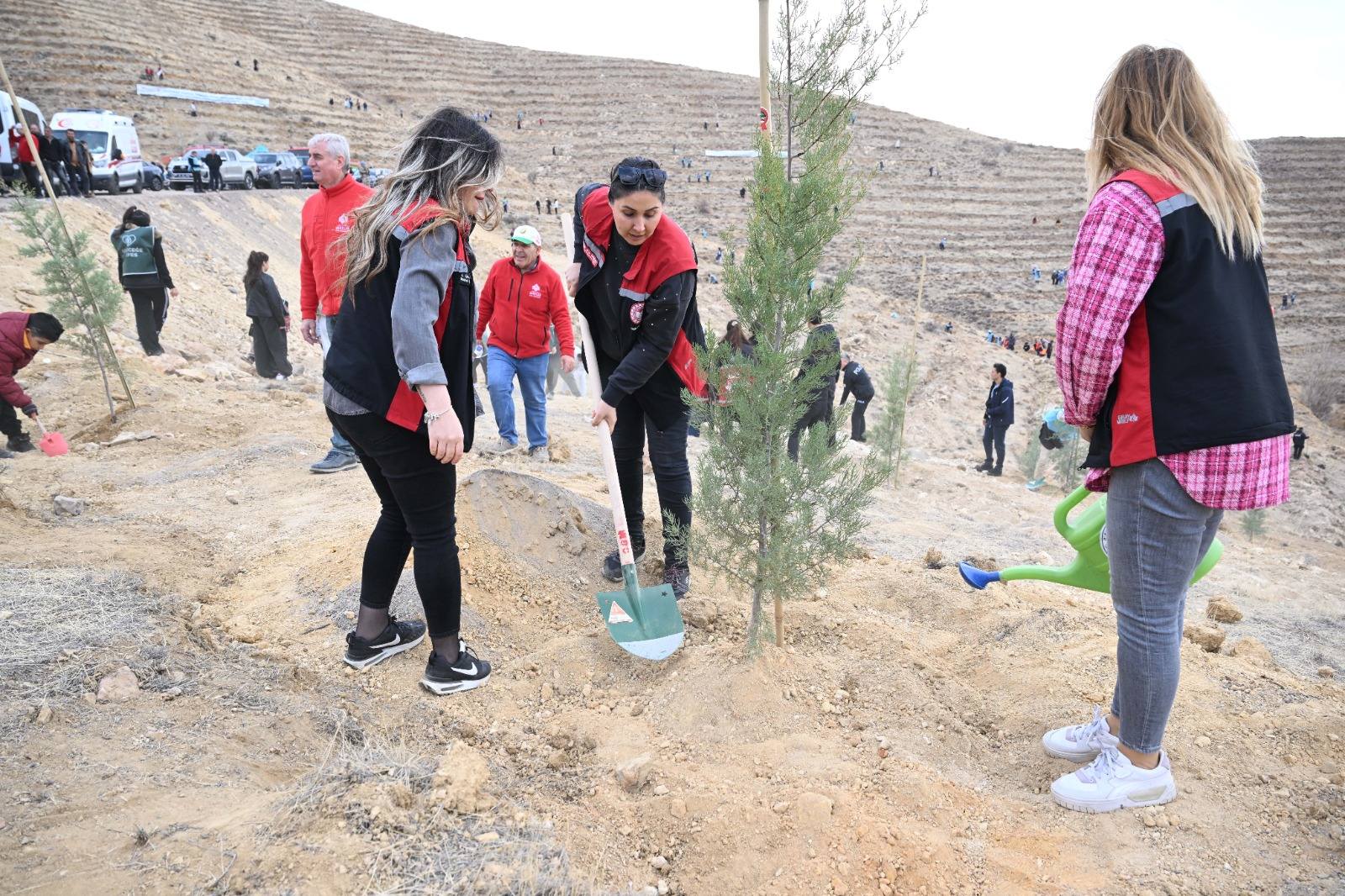 581286771 1945905602895081 234544433503376080 N