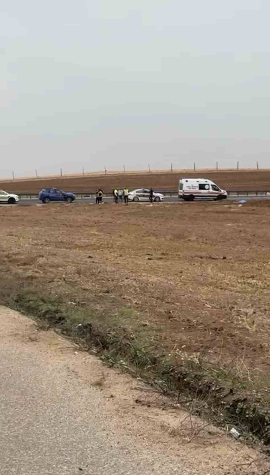 594551023 865693859344898 1706722784596734259 N