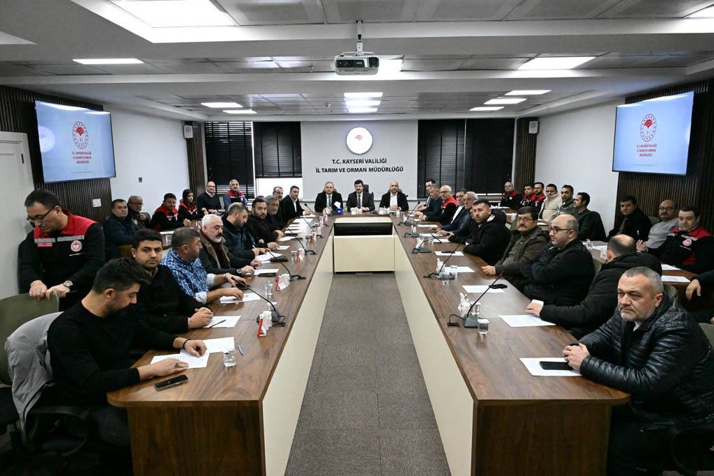 615230427 1190086573326924 2189562376483673006 N