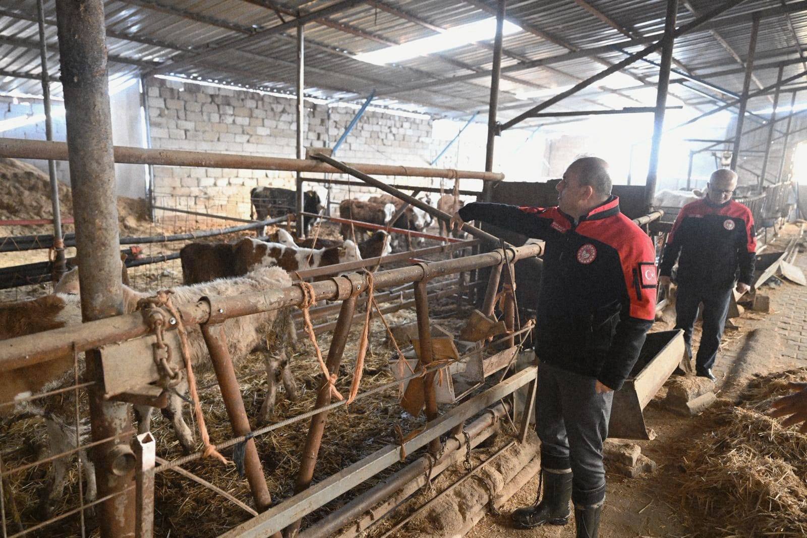 616045858 2001958097289831 1139852164541140924 N