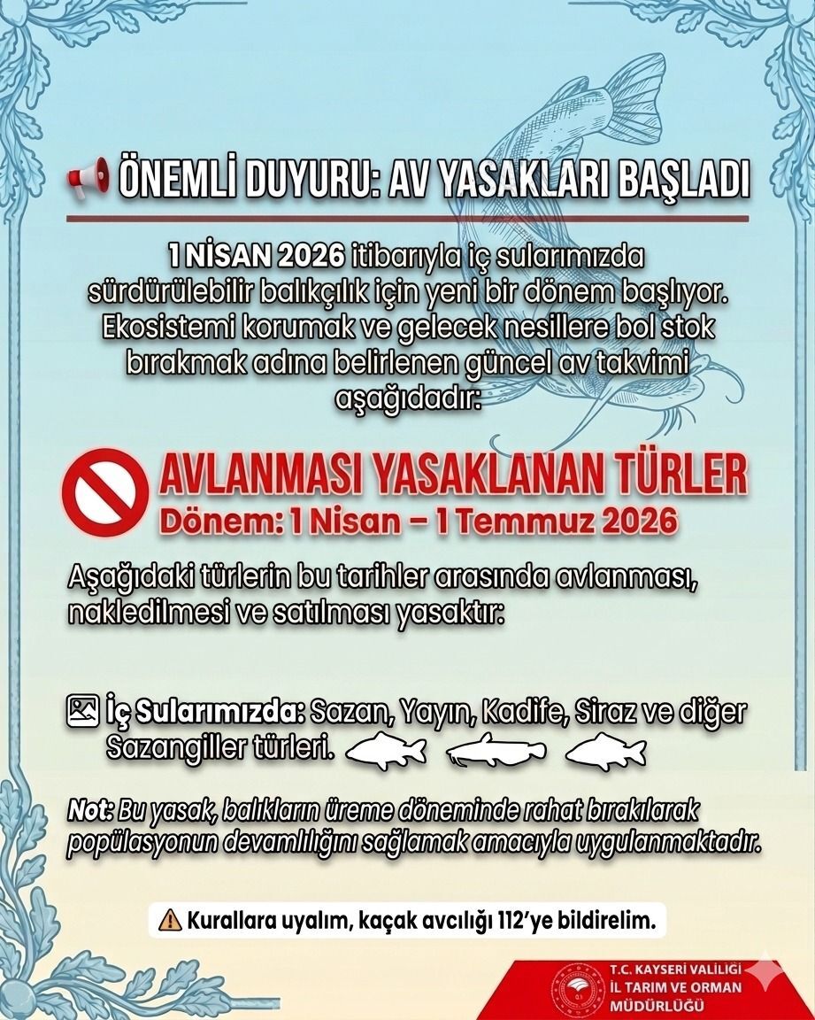 658206569 2065253907626916 4830932856165868251 N