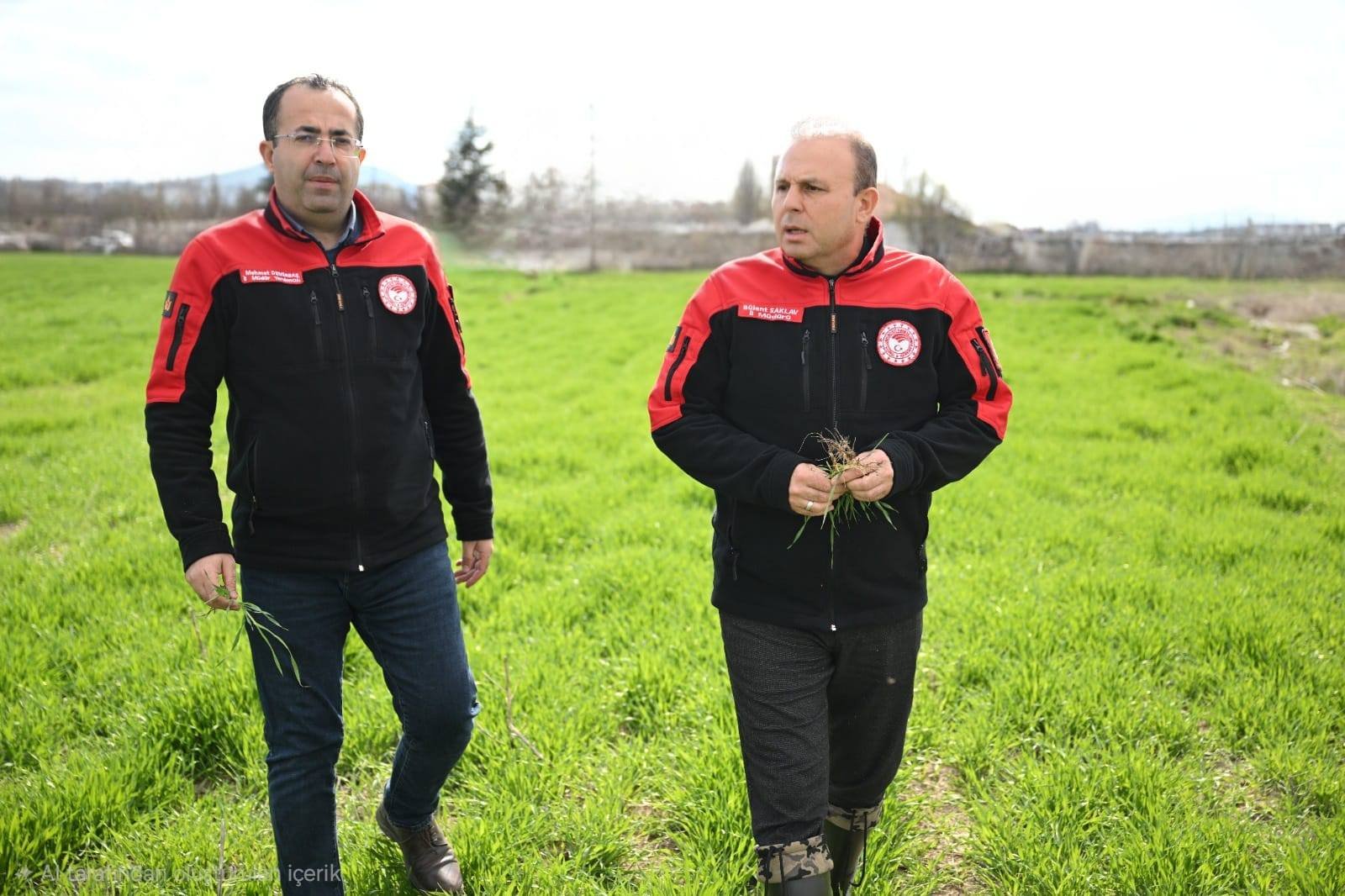 669068196 2075331359952504 5190447540995401701 N