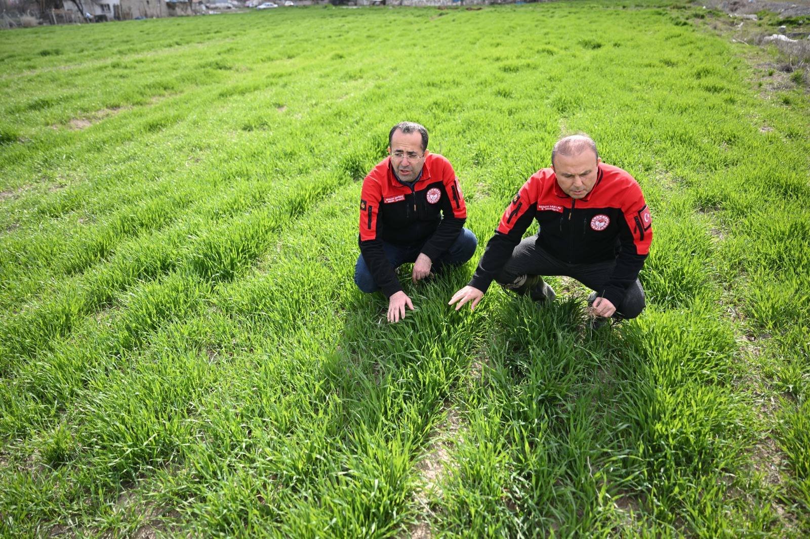 Kayseri’de Hububat Alanlarında Yakın Takip