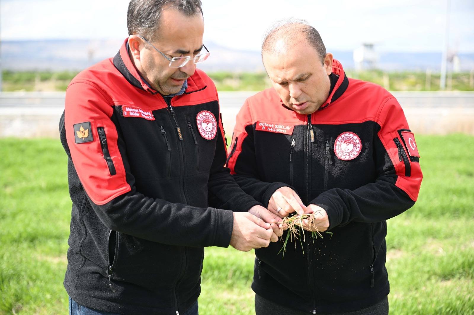 670418531 2075331243285849 6783008267708011099 N