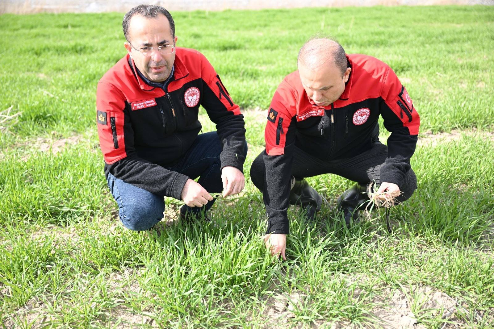 671621662 2075331303285843 3973262719554782217 N