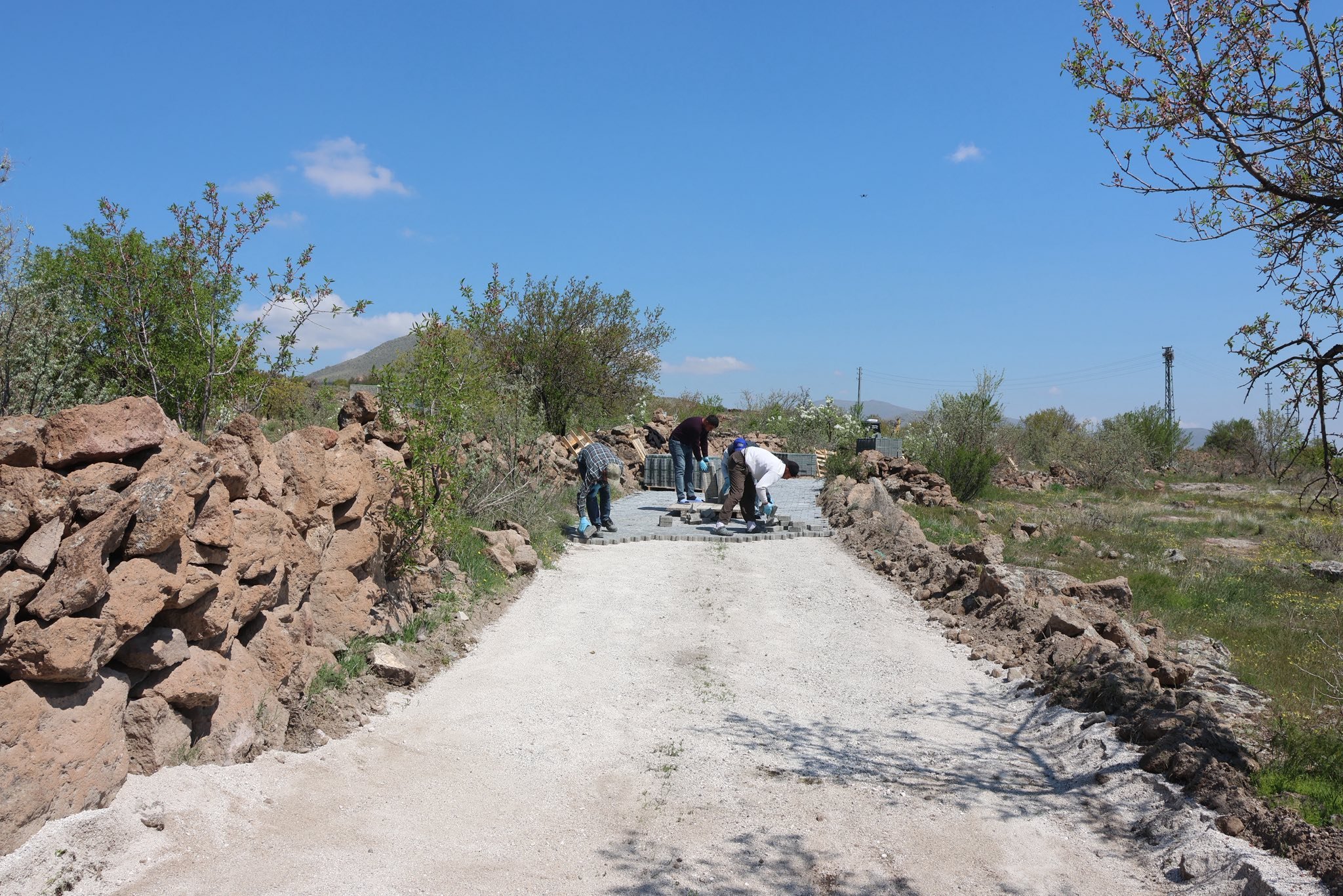 682692372 1710212270164434 7631454322585780528 N