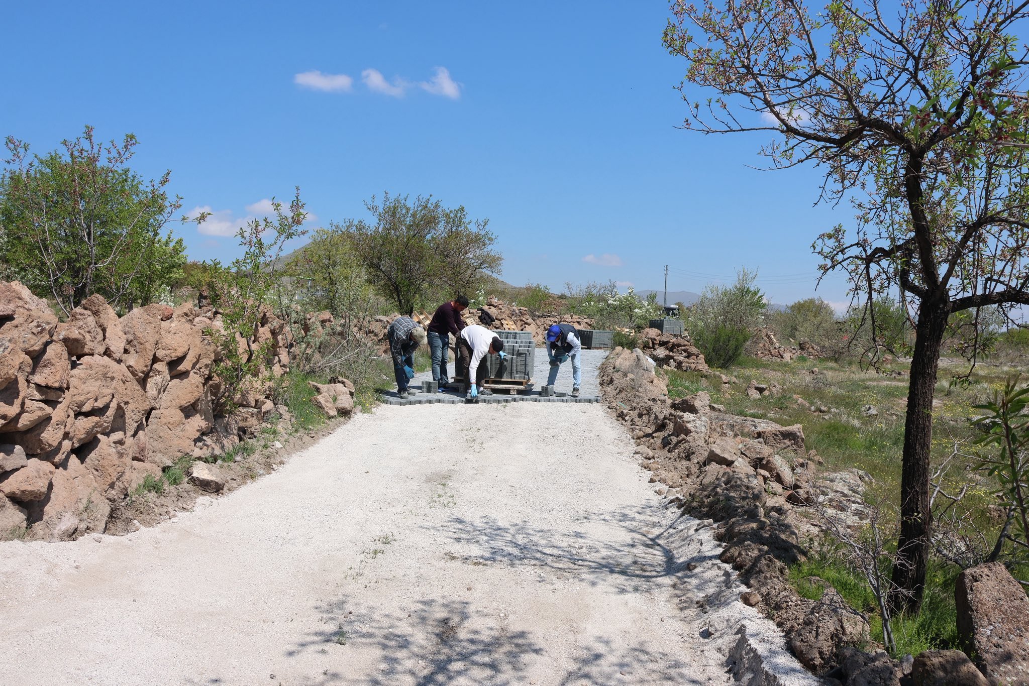 683245337 1710212216831106 3460143657850081953 N