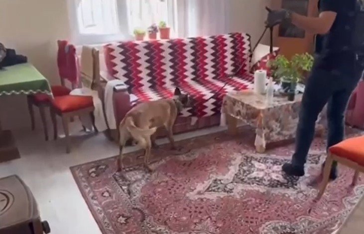 Kayseri Silah tacirlerine operasyon