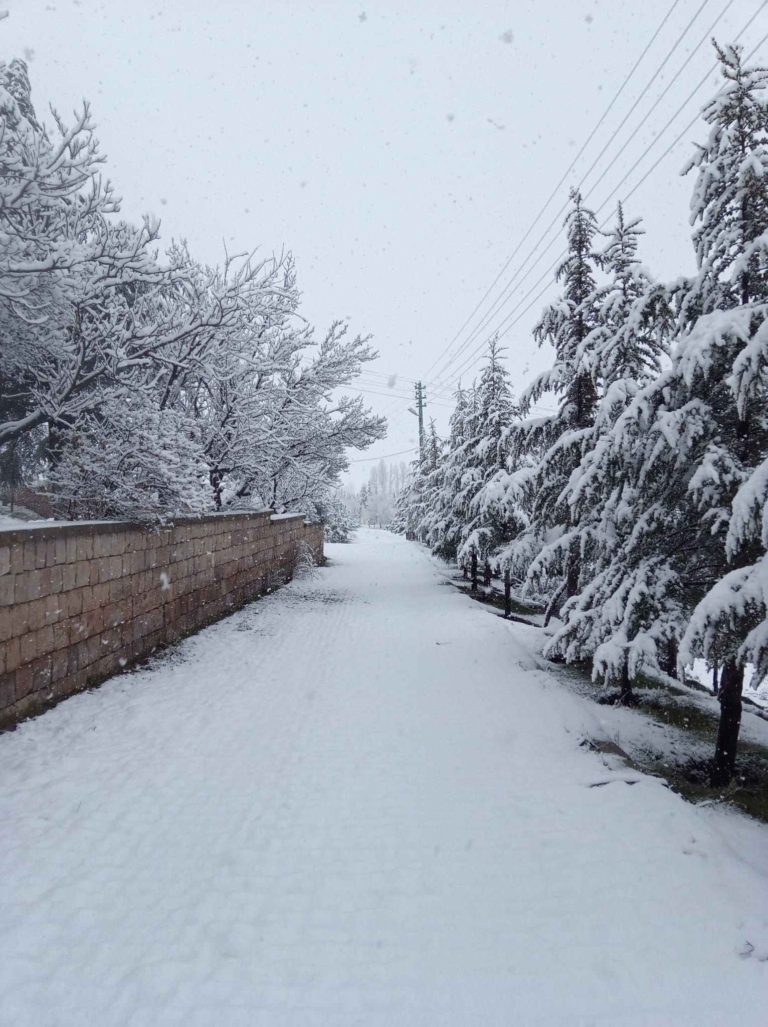 Nisan Ayında Yağan Kar Mahalleyi Beyaza Bürüdü